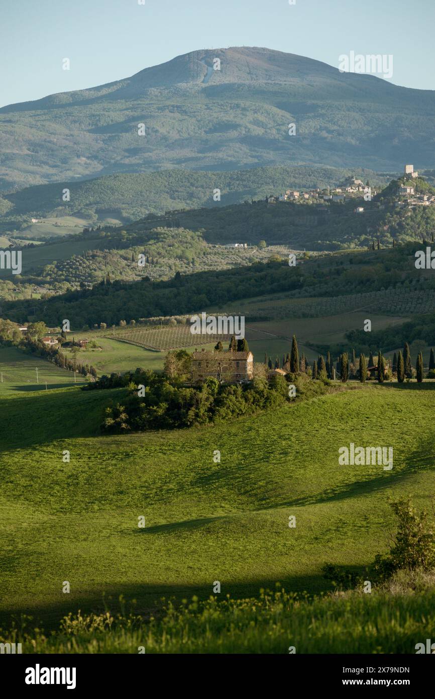 Le beau paysage de Val D'Orcia près de Pienza en Toscane rurale en Italie, avec la ferme Podere Belvedere à l'heure dorée avant le coucher du soleil. Banque D'Images