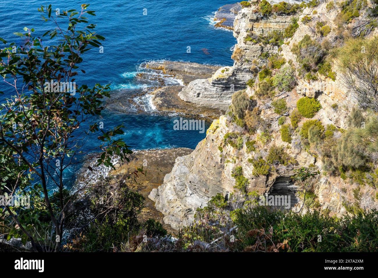 Vue sur les falaises depuis Cliffs Lookout point, Tasman Peninsular, Tasmanie Banque D'Images