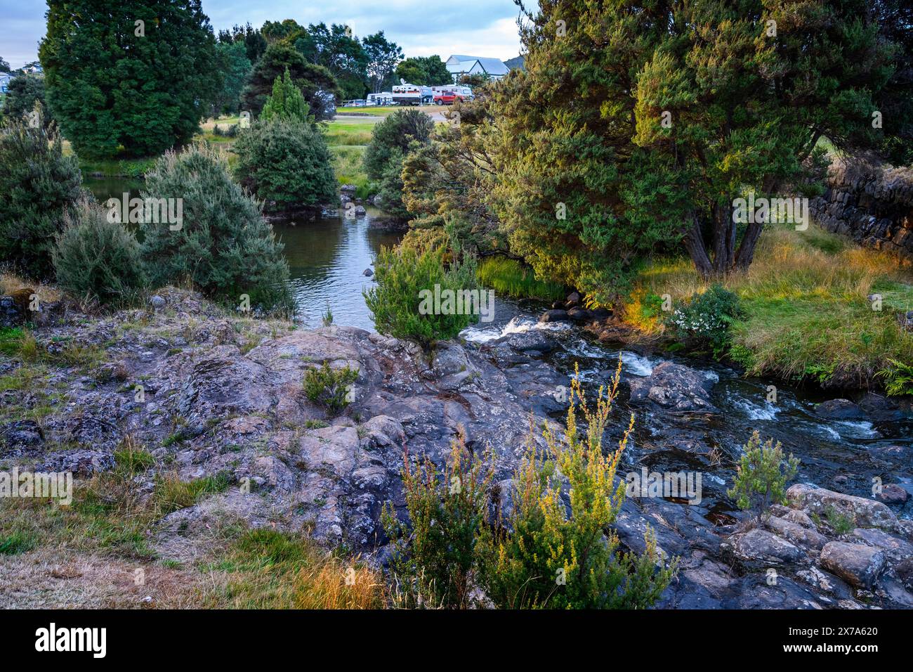 Cascades sur la rivière Waratah, Waratah Tasmanie Banque D'Images