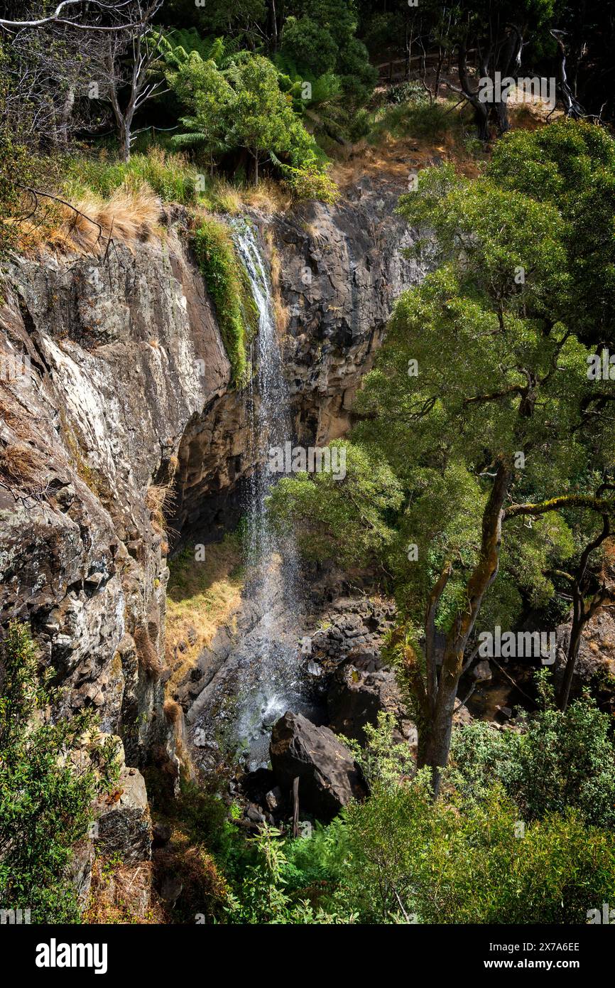 Preston Falls, Gunns Palin, Tasmanie Banque D'Images