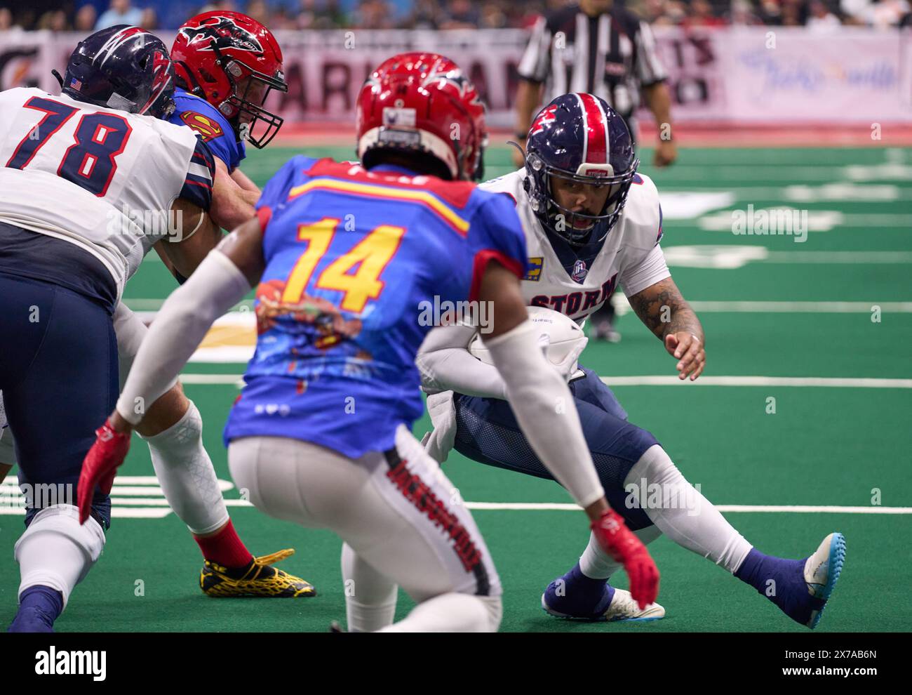 Jacksonville, Floride, États-Unis. 19 mai 2024. Ligue de football en salle Jacksonville Sharks vs Sioux Falls Storm. Storm QB Lorenzo Brown Jr. (8) garde le ballon et tente de marquer contre Sharks DB Harrison Poole (14). Crédit photo : Tim Davis/Alamy Live News Banque D'Images