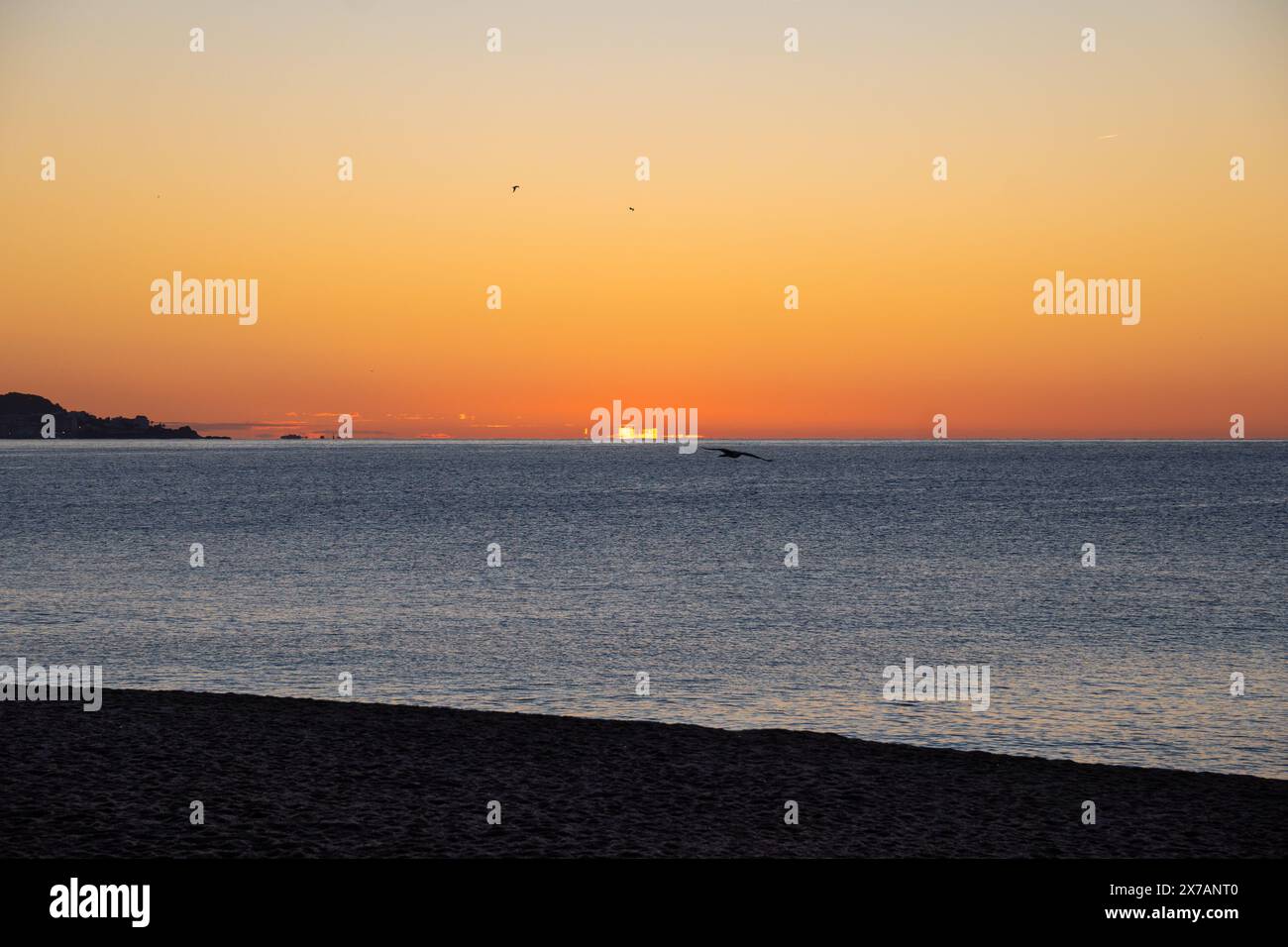 Silhouette de mouettes volant à travers la mer Méditerranée dans des eaux calmes illuminées par les premières lumières de l'aube, créant des illusions d'optique sur les s. Banque D'Images