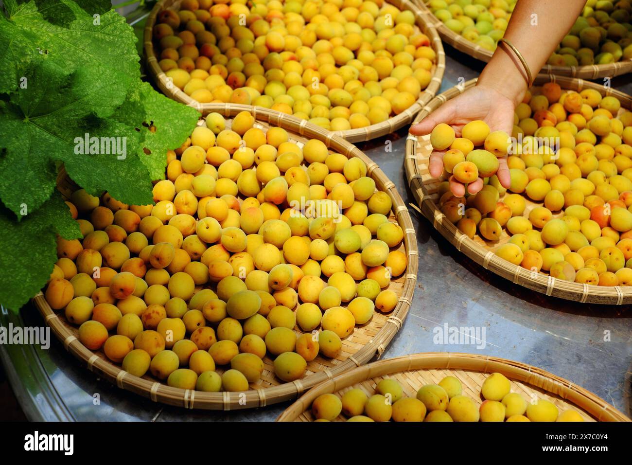Groupe de panier frais jaune mûr abricot, un fruit tropical au Vietnam Nord riche en vitamine, médecine de la nature et bon pour la santé Banque D'Images