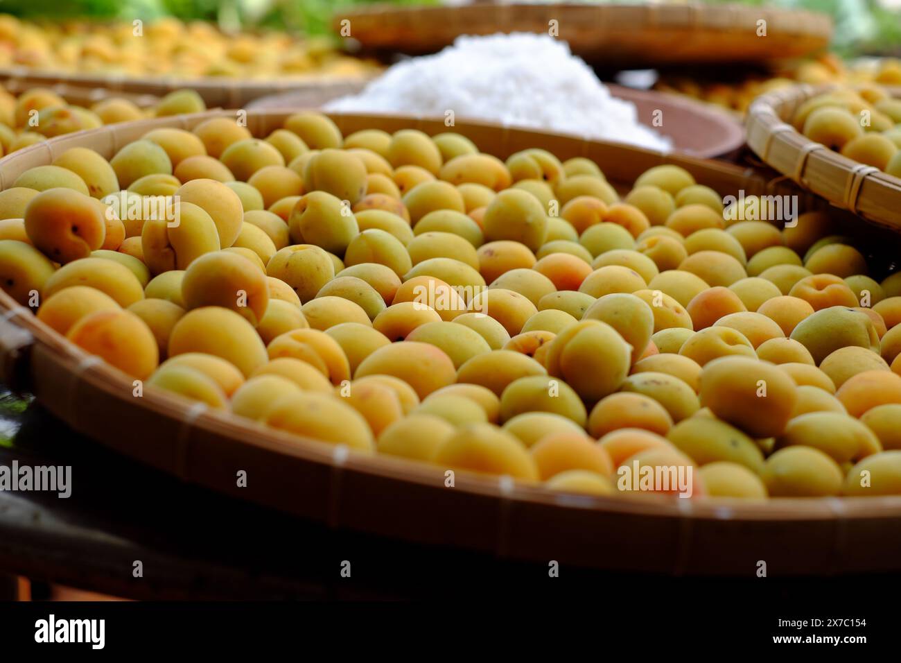 Groupe de panier frais jaune mûr abricot, un fruit tropical au Vietnam Nord riche en vitamine, médecine de la nature et bon pour la santé Banque D'Images