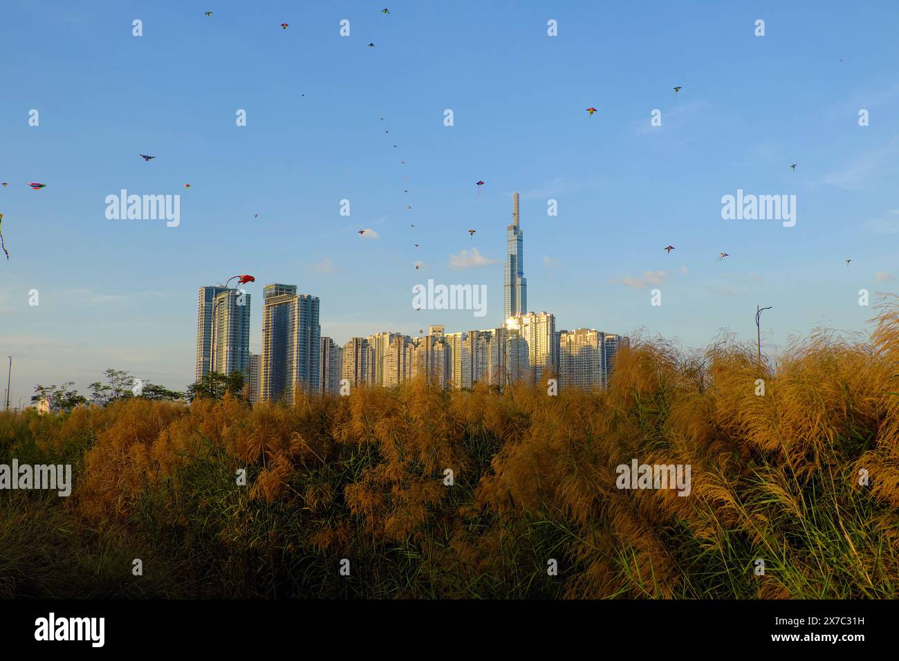 Belle scène à Ho Chi Minh ville campagne le soir, se détendre le week-end par voler un cerf-volant, cerfs-volants sur le ciel bleu avec des fleurs de roseaux avant Landmark 81, Banque D'Images