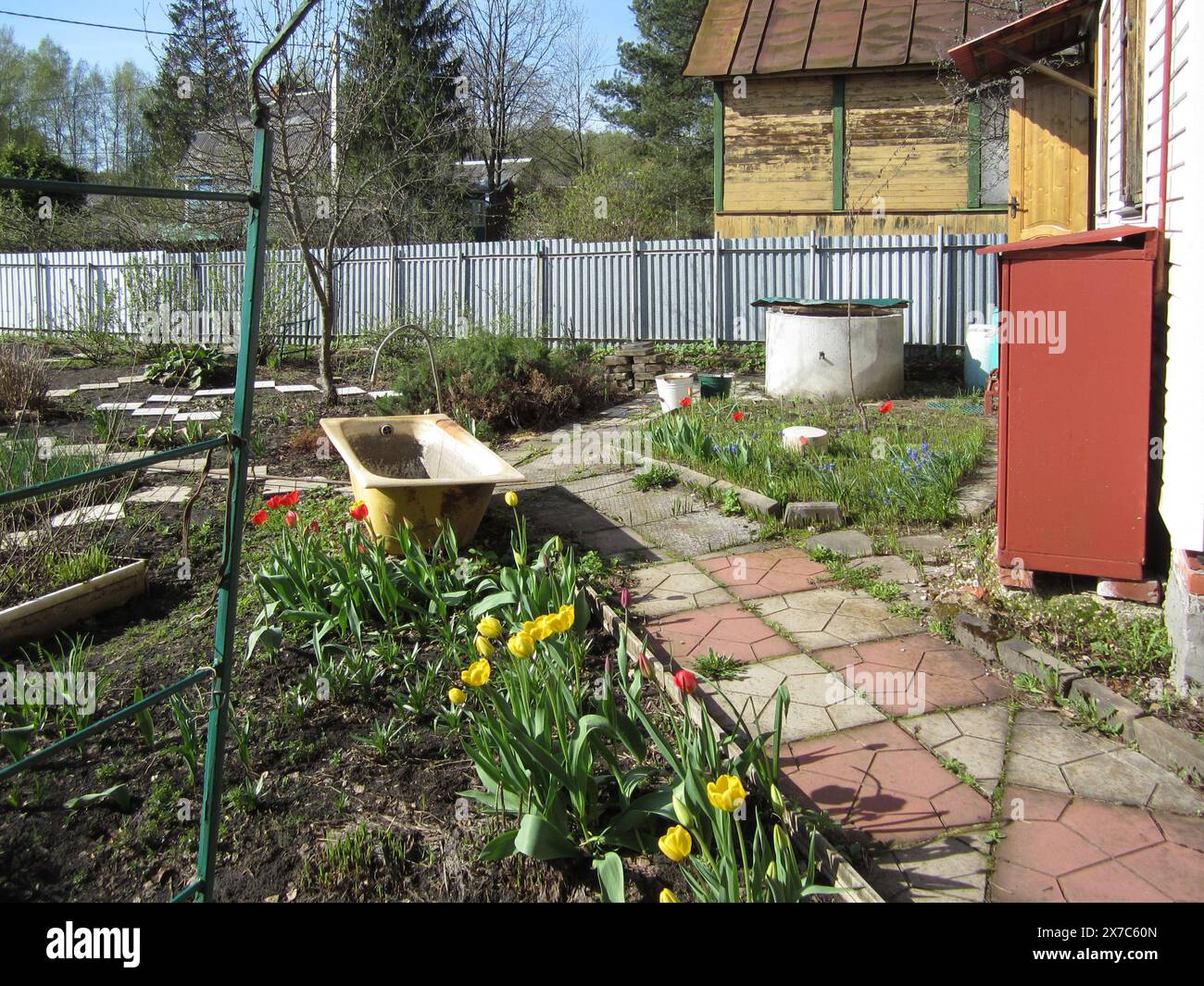Jardin fleuri avec une ancienne baignoire en fonte pour recueillir l'eau et arroser les plantes en sécheresse. Cottage jardin. Banque D'Images