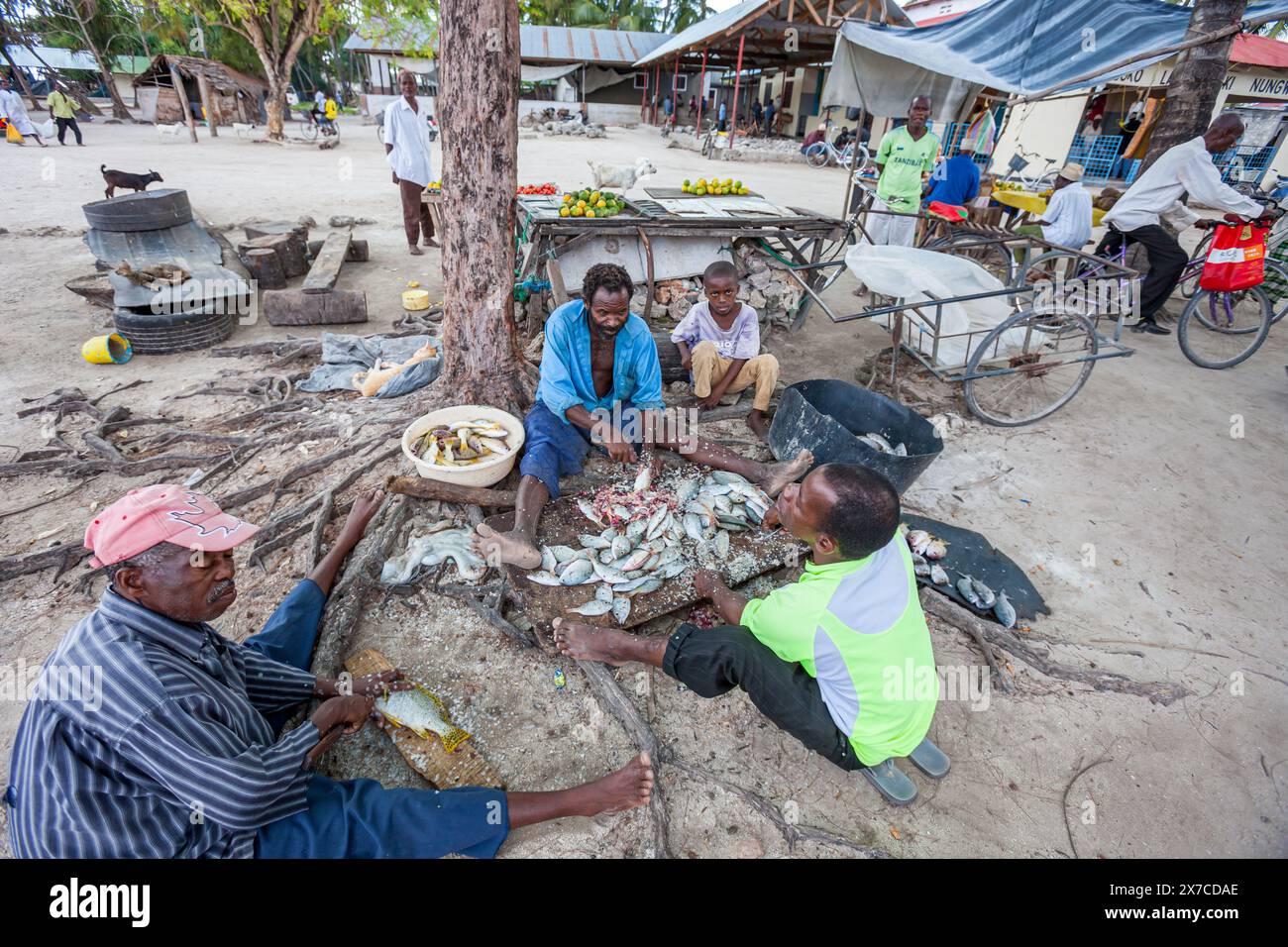 Tanzanie, Zanzibar, Ras Nungwi, pêcheurs locaux Banque D'Images