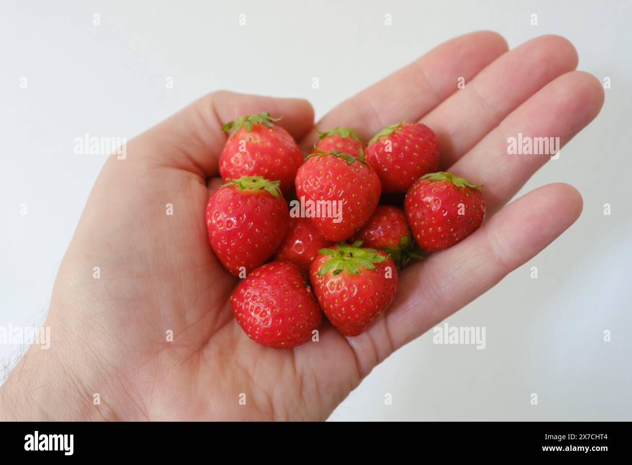 Main avec des fraises Banque D'Images