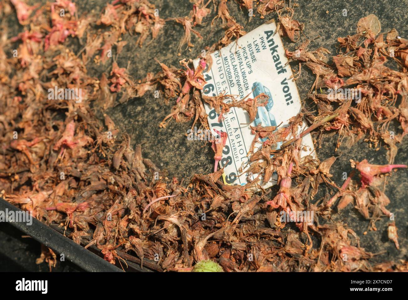 Carte annonçant l'achat de voitures sur un véhicule complètement sale BMW Banque D'Images