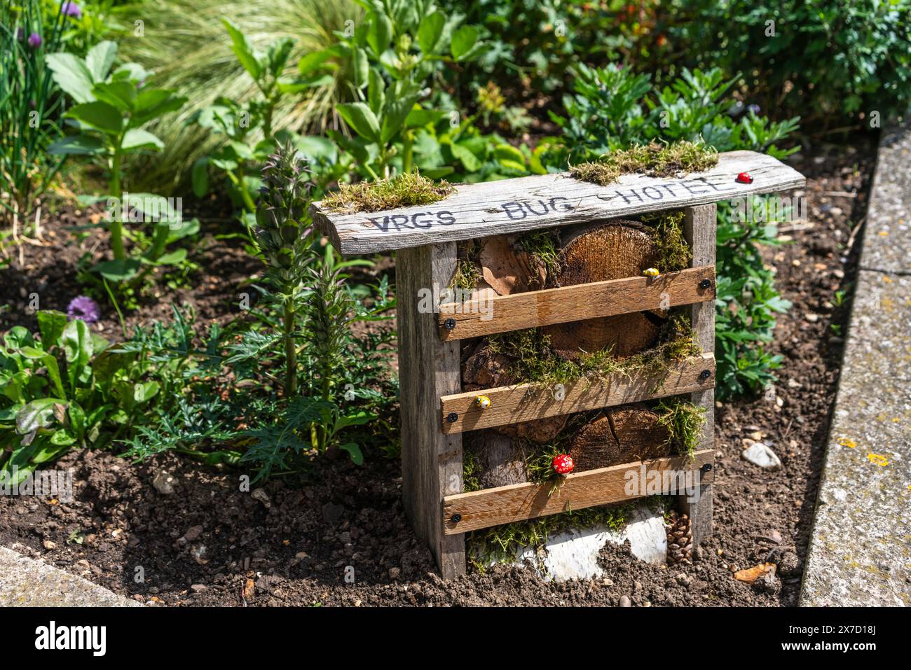 Bug hôtel situé à côté d'une route dans la région de Woolston à Southampton, Angleterre, Royaume-Uni Banque D'Images