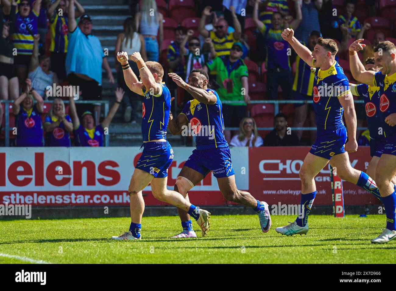 St Helens, Merseyside, Royaume-Uni. 19 mai 2024. Betfred Challenge Cup Rugby : Huddersfield Giants vs Warrington Wolves au Totally Wicked Stadium. Matt Dufty célèbre son essai avec ses coéquipiers de Warrington. Crédit James Giblin Photography/Alamy Live News. Banque D'Images