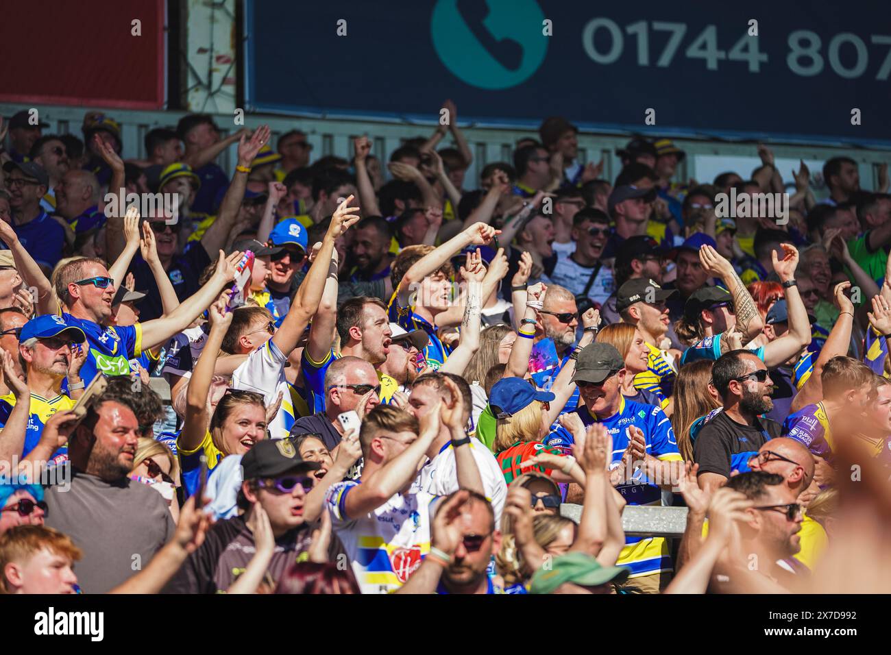 St Helens, Merseyside, Royaume-Uni. 19 mai 2024. Betfred Challenge Cup Rugby : Huddersfield Giants vs Warrington Wolves au Totally Wicked Stadium. Les fans itinérants de Warrington en pleine voix alors que le temps descend à 00:00. Crédit James Giblin Photography/Alamy Live News. Banque D'Images
