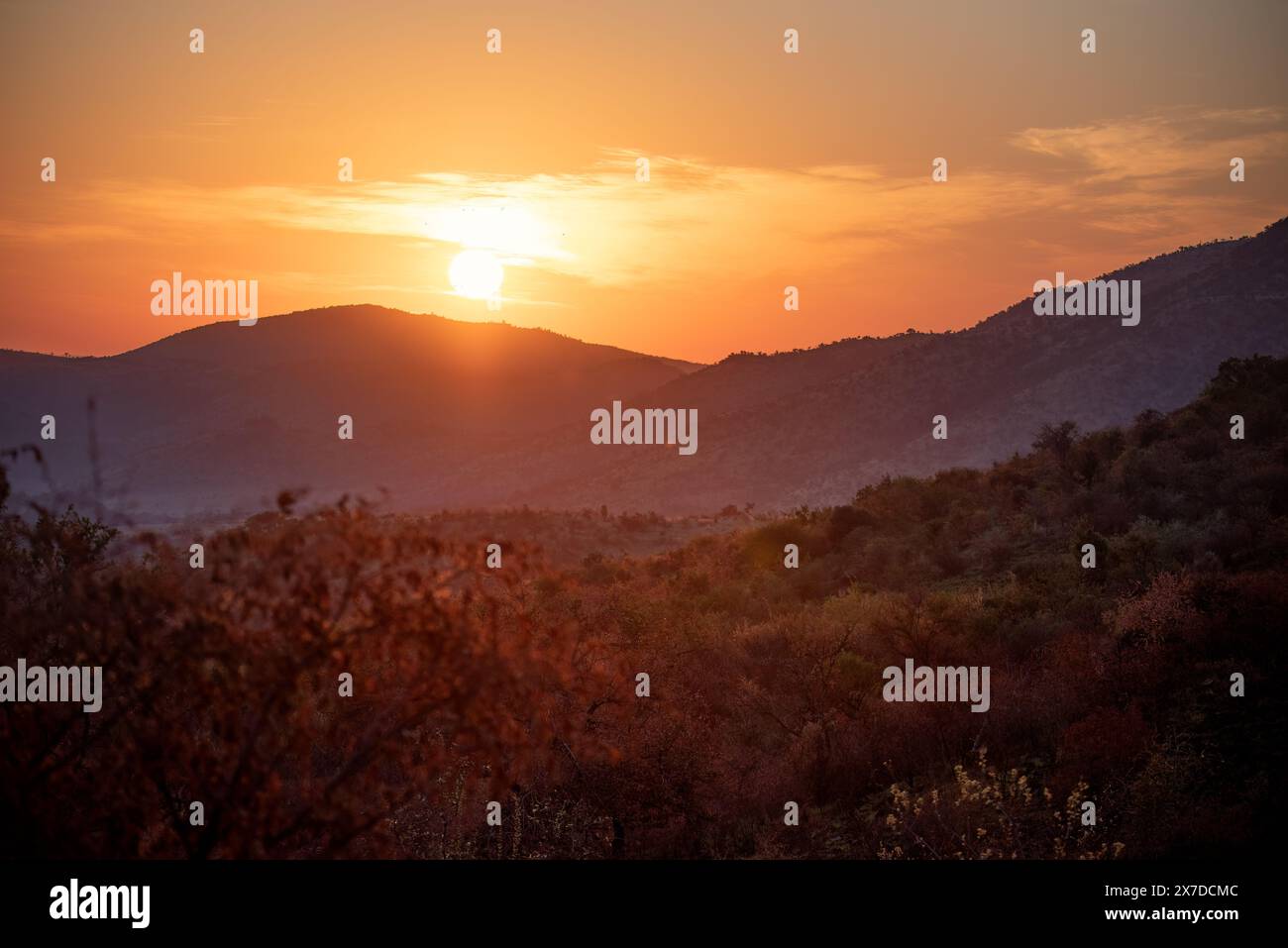Lever de soleil au parc national de Pilanesberg en Afrique du Sud Banque D'Images