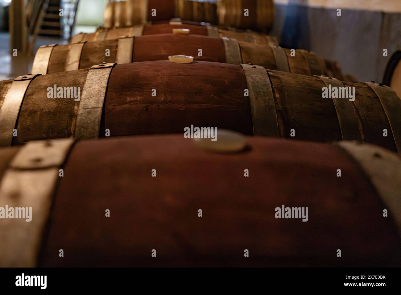 Focus sélectif sur la vue de dessus des fûts de vin dans la cave avec le Wood Bung Plug sur le dessus des fûts. Banque D'Images