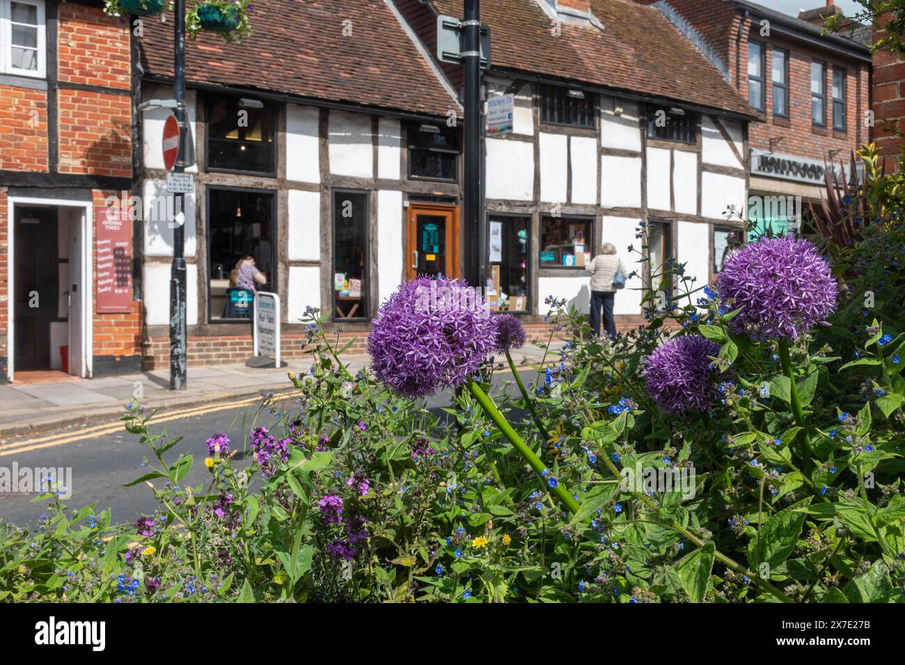 Vue le long de Denmark Street dans le centre-ville de Wokingham, Berkshire, Angleterre, Royaume-Uni, avec des alliums de fleurs mauves allium au premier plan Banque D'Images