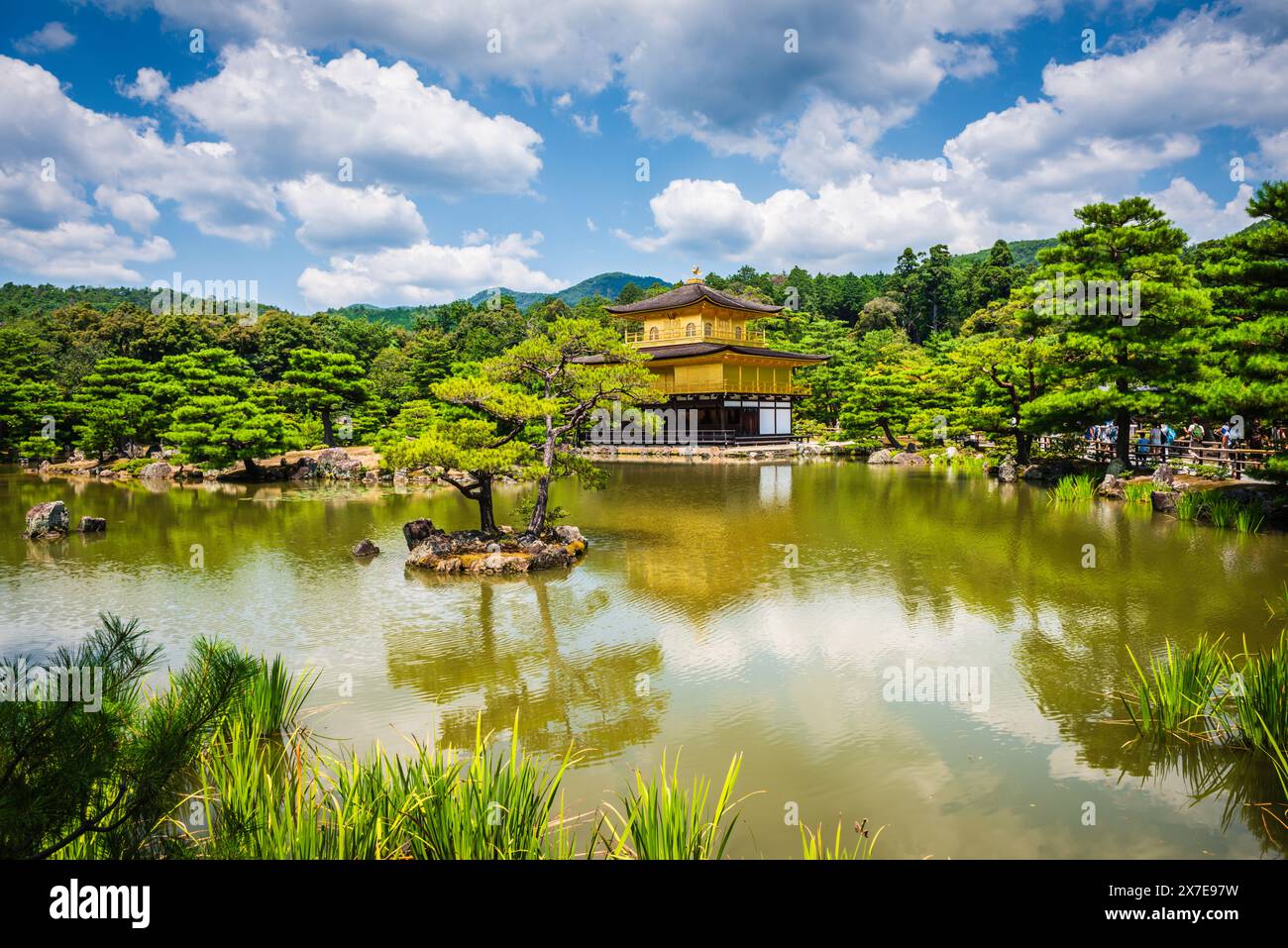 Kyoto, JAPON - 30 juillet 2016 : arbre à feuilles persistantes et temple d'or reflétés sur kyoko-chi, ou étang miroir. Banque D'Images