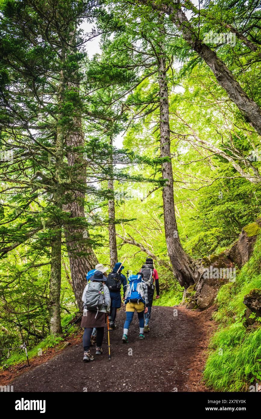 MT. Fuji, JAPON - 31 juillet 2016 : les grimpeurs commencent le Mont Fuji trek à travers la forêt luxuriante. Banque D'Images