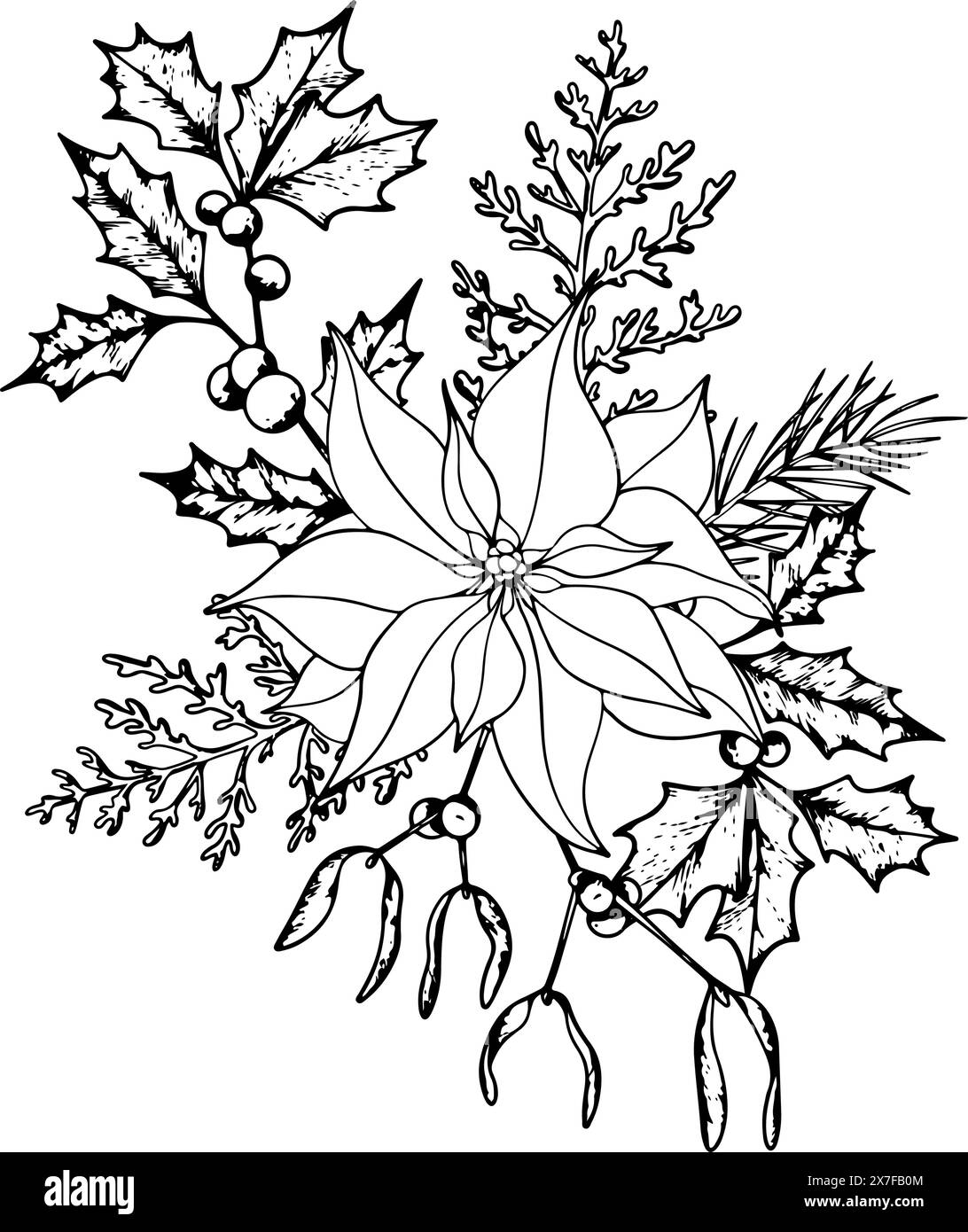 Ligne bouquet de plantes de Noël Poinsettia graphique à l'encre, brindille d'ilex avec des baies, gui, Dusty miller et conifères arbre à feuilles persistantes. Main Illustration de Vecteur Ligne bouquet de plantes de Noël Poinsettia graphique à l'encre, brindille d'ilex avec des baies, gui, Dusty miller et conifères arbre à feuilles persistantes. Main Illustration de Vecteur