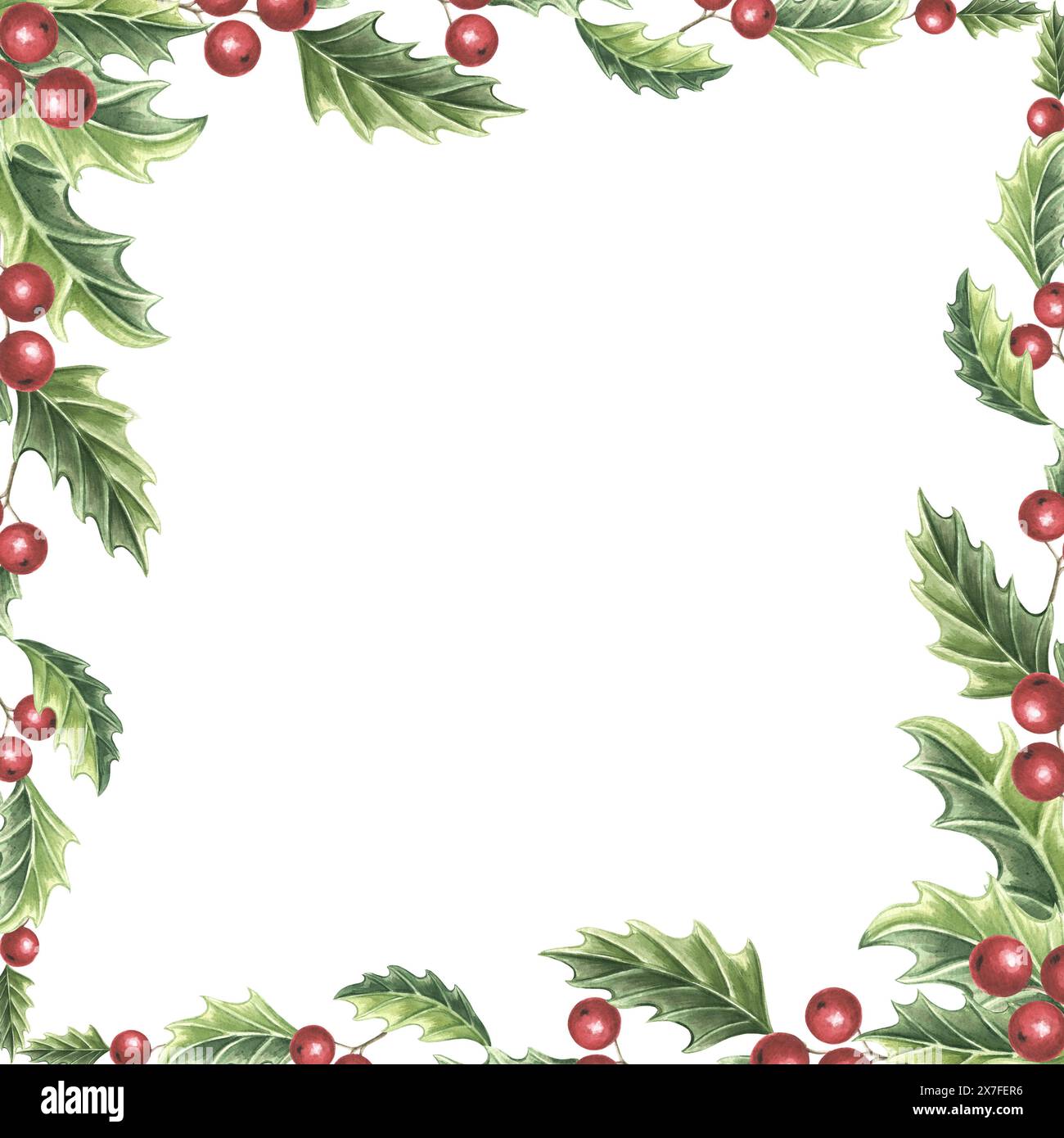 Cadre de Noël Holly vintage avec des feuilles vertes et des baies rouges. Illustration d'aquarelle dessinée à la main plantes traditionnelles pour la conception de vacances d'hiver Isola Banque D'Images