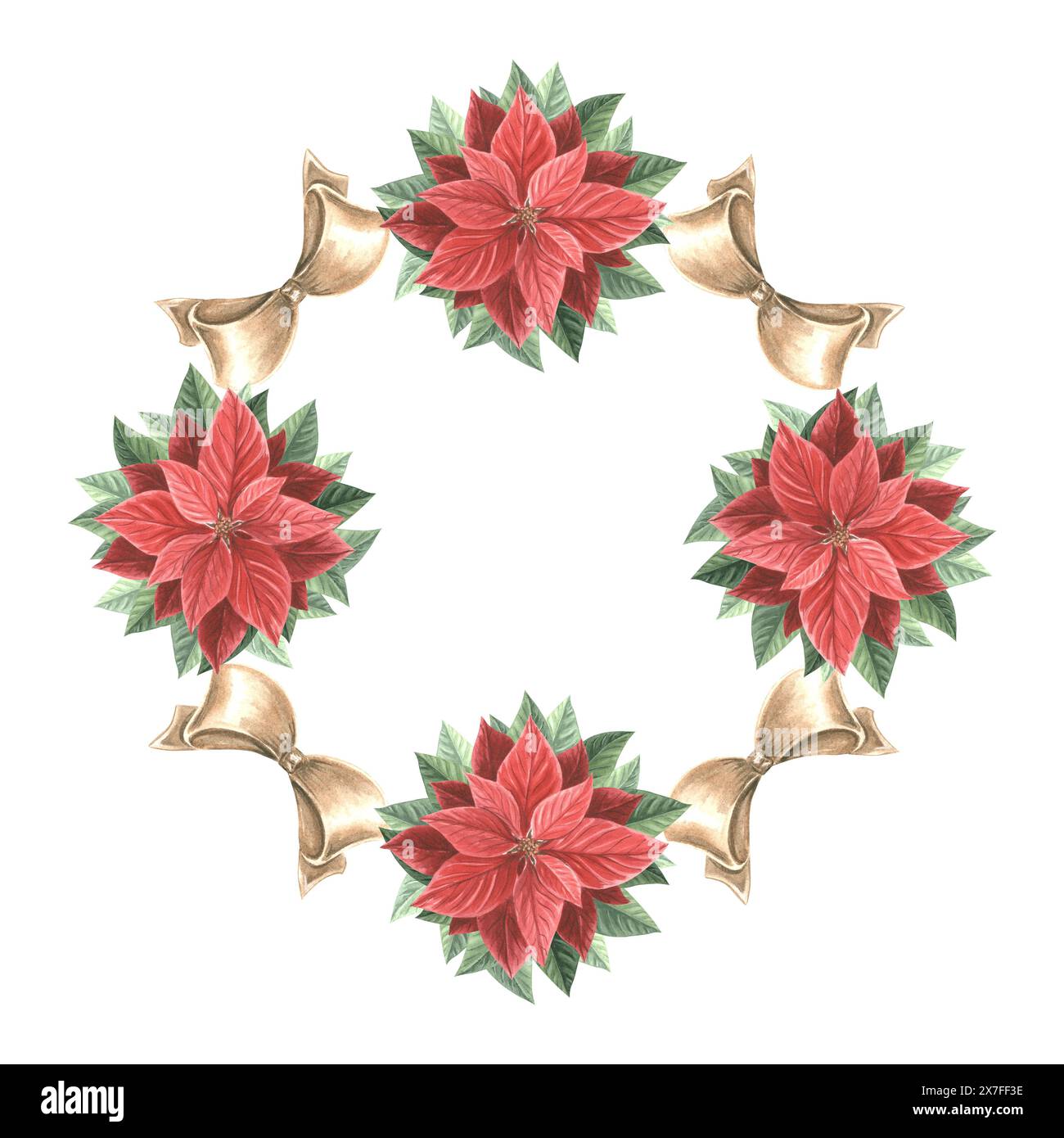 Fleurs poinsettia avec des noeuds en soie. Cadre de Noël carré, vintage. Illustration d'aquarelle dessinée à la main plante traditionnelle pour fond d'hiver. Isolat Banque D'Images