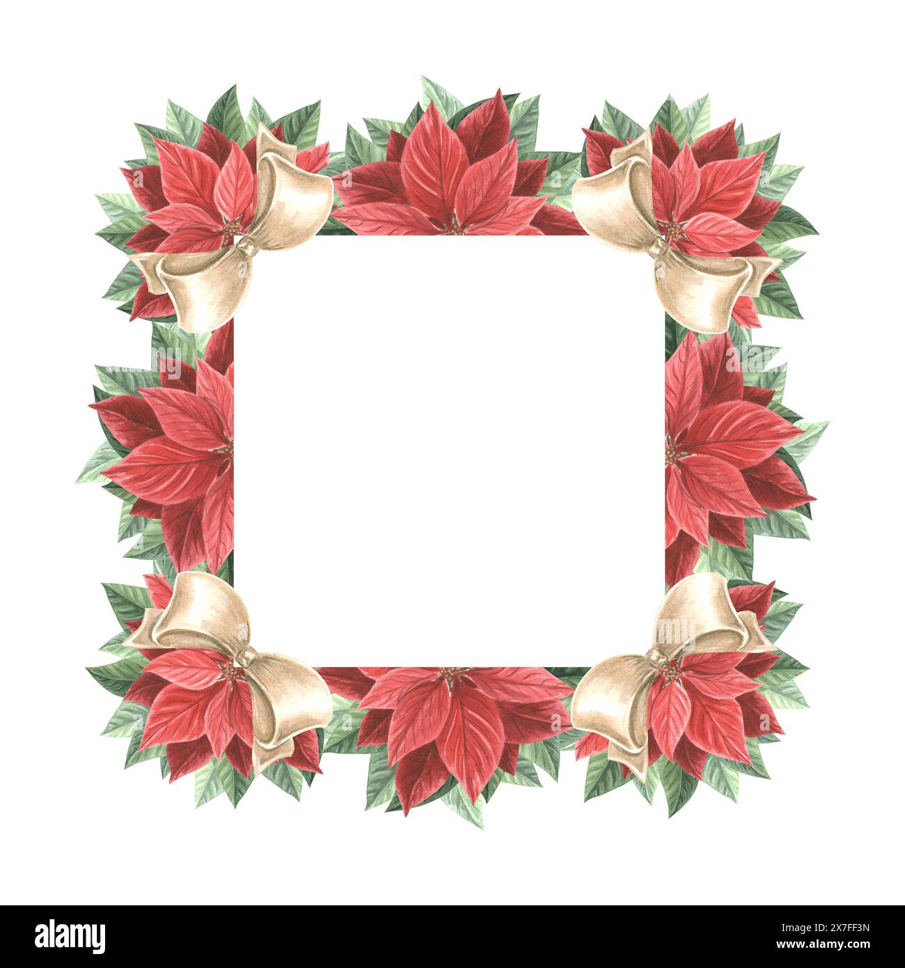 Fleurs poinsettia avec des noeuds en soie. Cadre de Noël carré, vintage. Illustration d'aquarelle dessinée à la main plante traditionnelle pour fond d'hiver. Isolat Banque D'Images