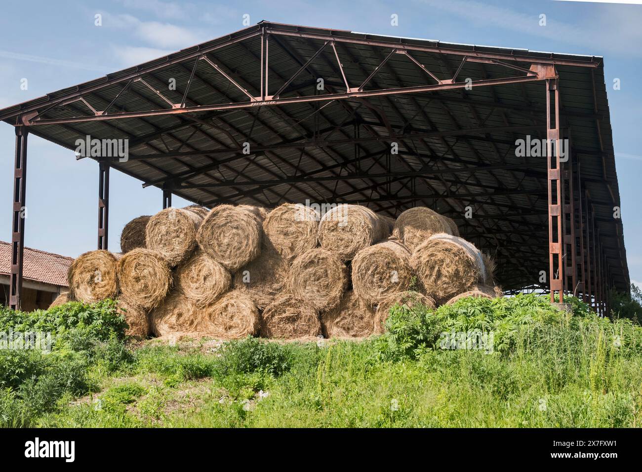 Stockage de foin pour la protection des balles récoltées dans une grande ferme en été Banque D'Images