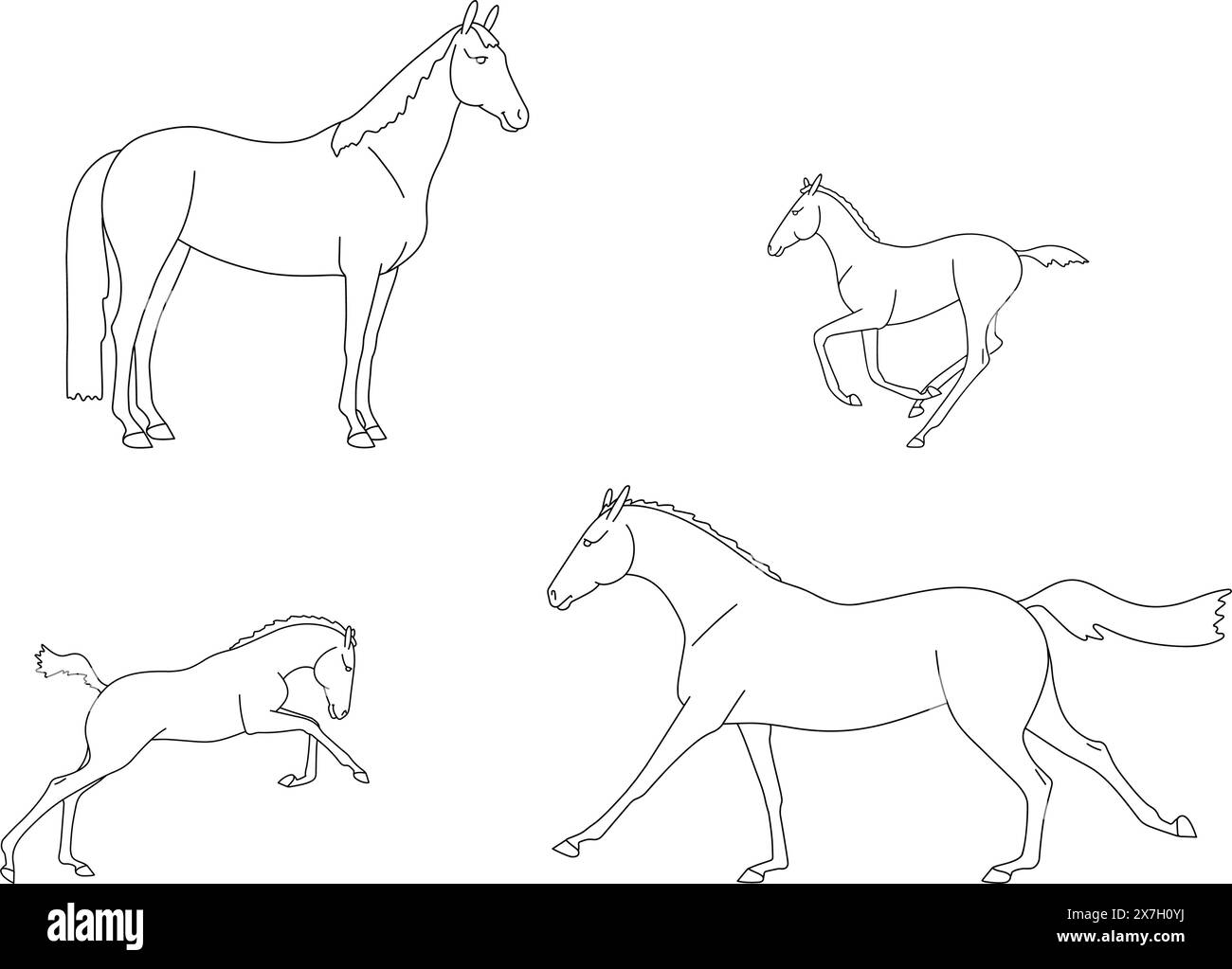 Ensemble de juments avec leurs poulains, contours linéaires pour la coloration. Illustration vectorielle Illustration de Vecteur