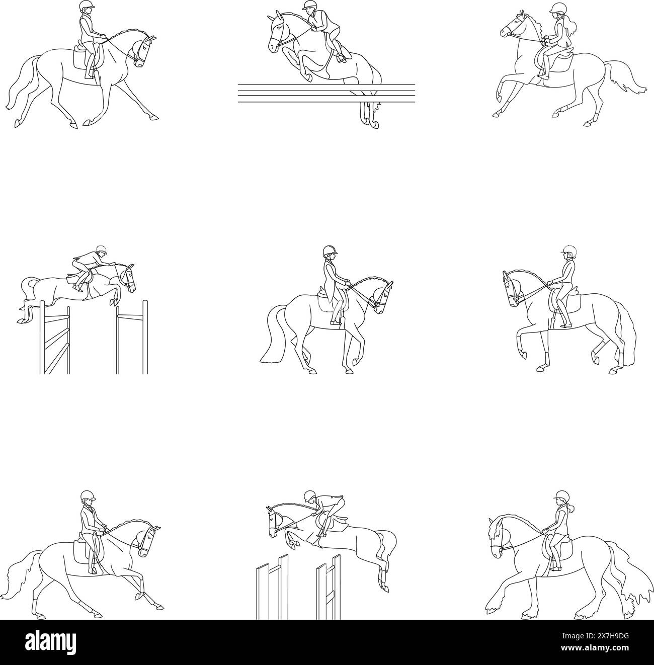 Illustration équestre, saut de spectacle, dressage Illustration de Vecteur