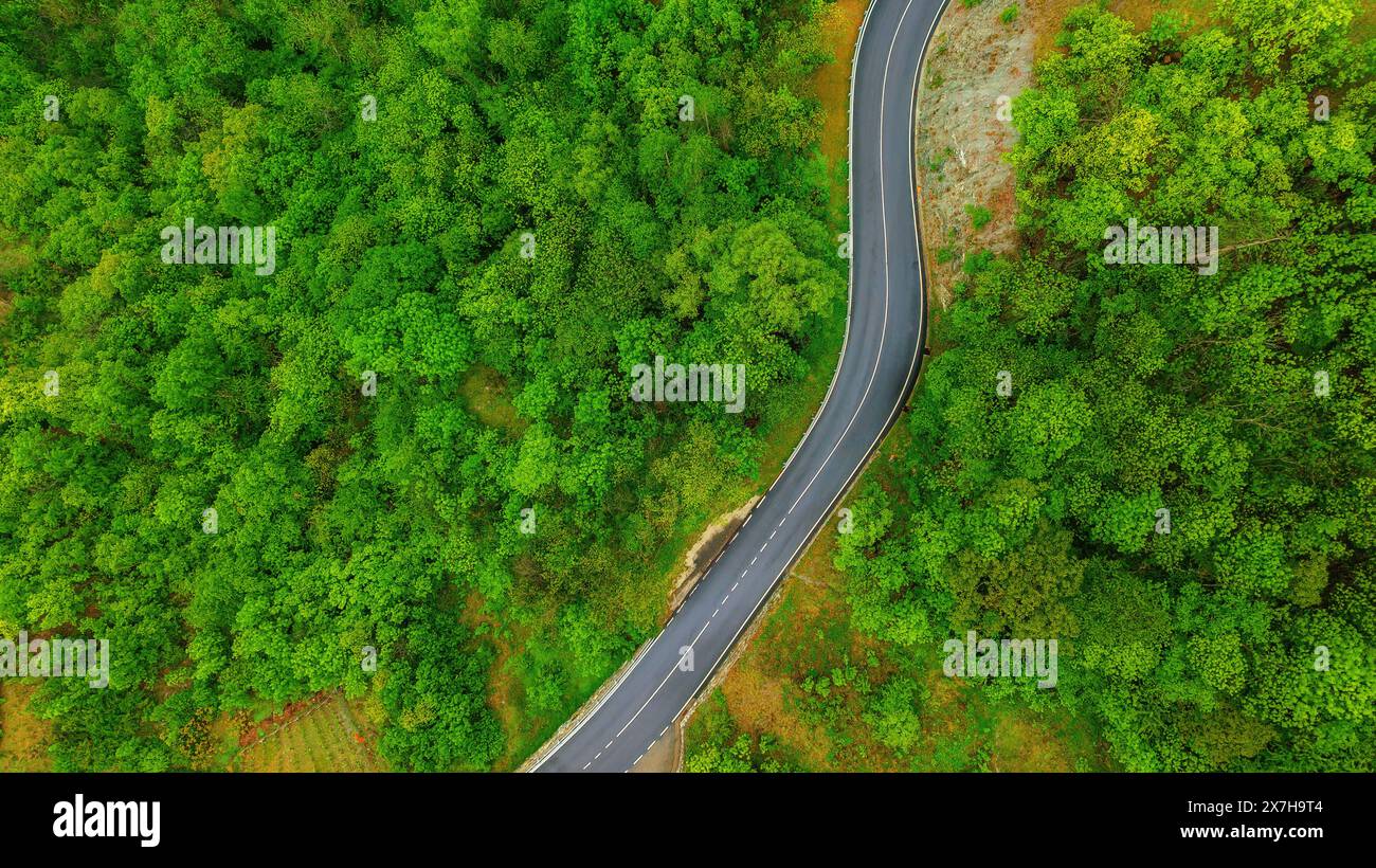 Vue de dessus de la route dans la forêt dans les montagnes. Route ondulée dans la nature. Banque D'Images