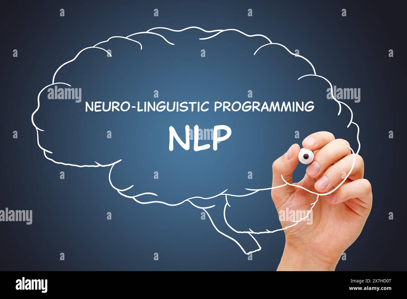 Écriture manuelle Neuro-Linguistic Programming NLP sur cerveau humain dessiné avec marqueur blanc sur tableau transparent. Banque D'Images