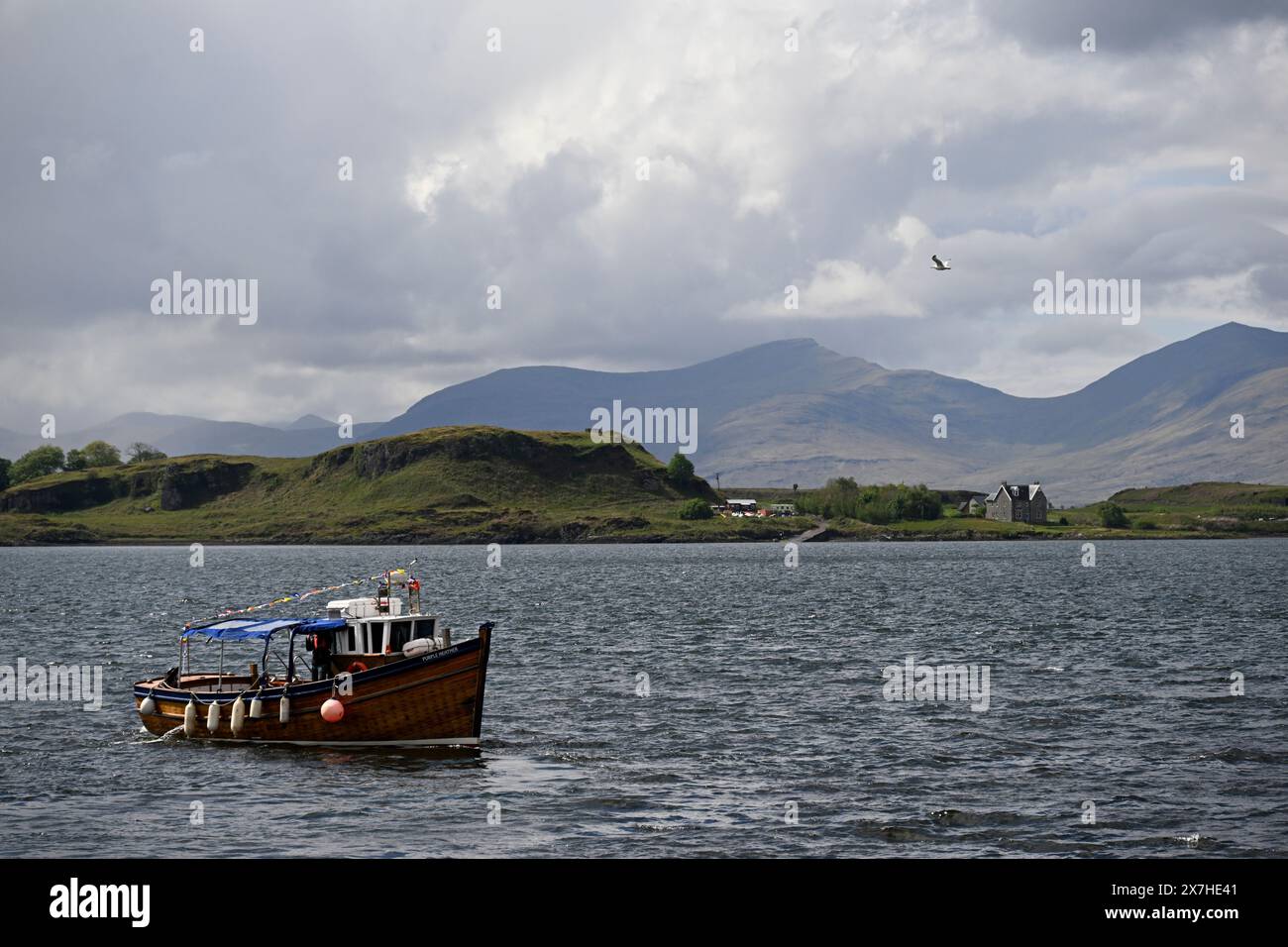 Petit bateau nommé Purple Heather Sailing, près d'Oban, en Écosse Banque D'Images