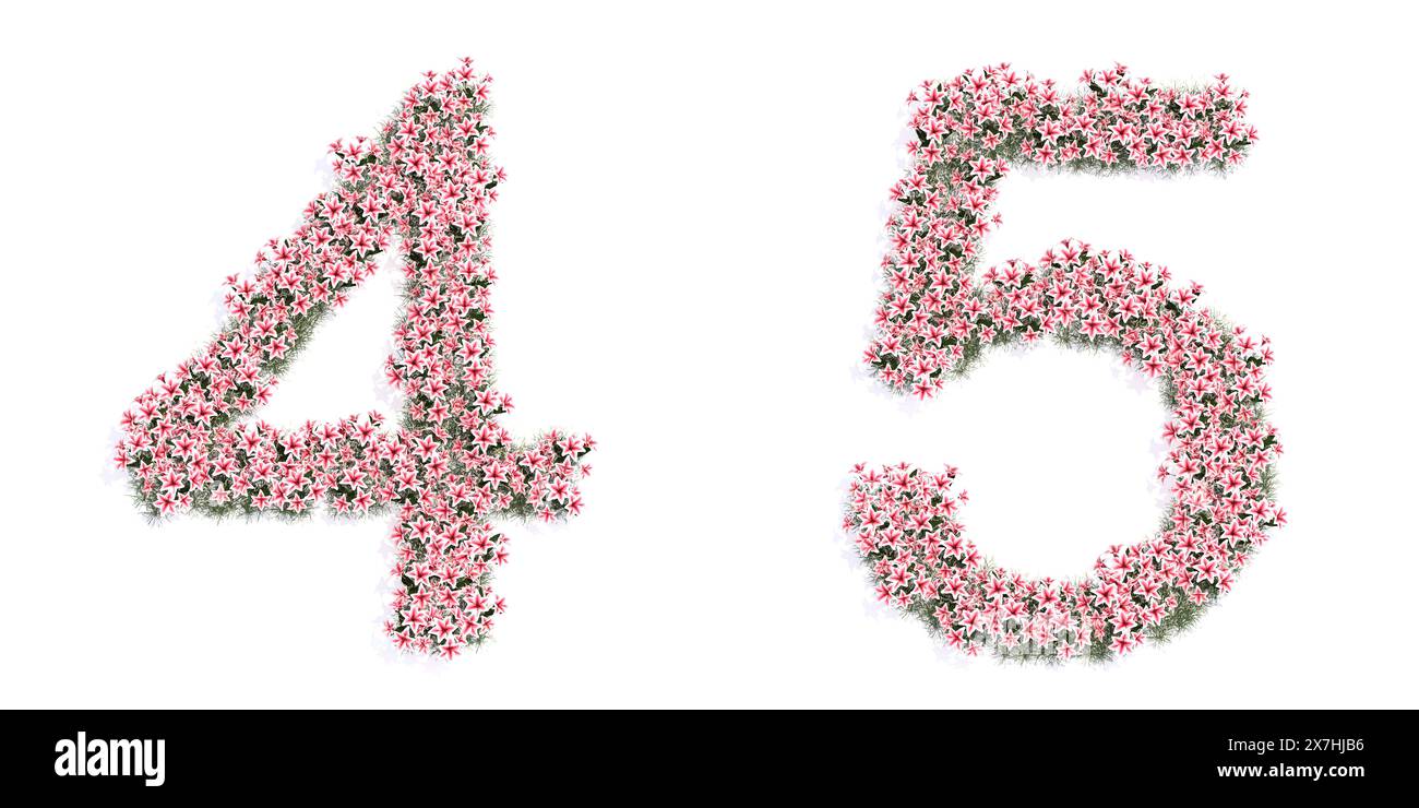 Concept ou ensemble conceptuel de beaux bouquets de lys florissants formant les polices 4 et 5. métaphore d'illustration 3d pour l'éducation, le design et la décoration Banque D'Images