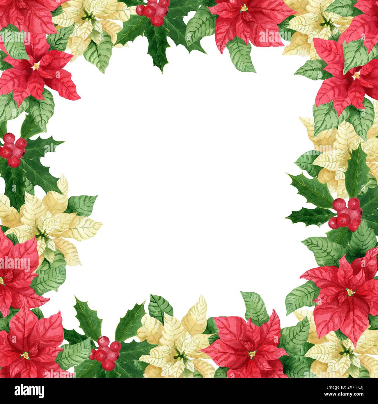 Cadre de Noël floral avec aquarelle dessinée à la main poinsettia blanc et rouge et houx. Elément de Noël aquarelle. Clipart pour design, cadre pour Gree Banque D'Images