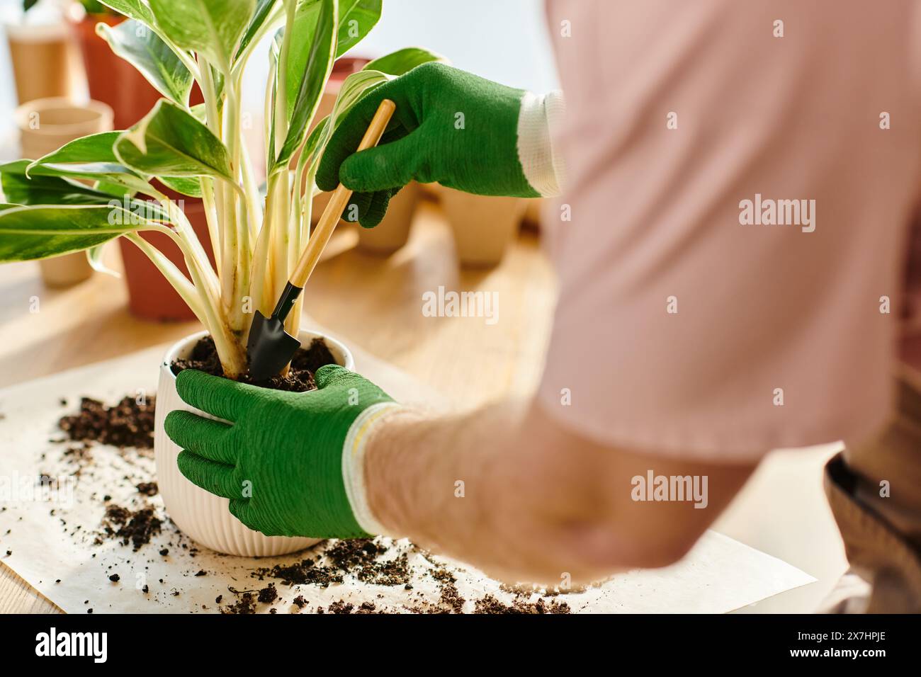 Une personne en gants verts mettant délicatement en pot une plante avec un sol riche dans un cadre de fleuriste de petite entreprise. Banque D'Images
