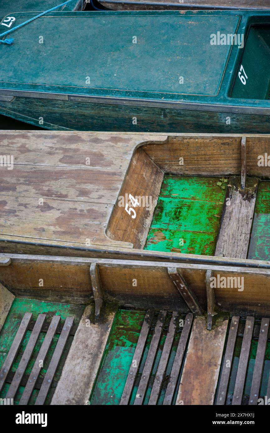 Punts, River Cherwell, Oxford Botanical Gardens, Oxford, Oxfordshire, Angleterre, Royaume-Uni, GB. Banque D'Images