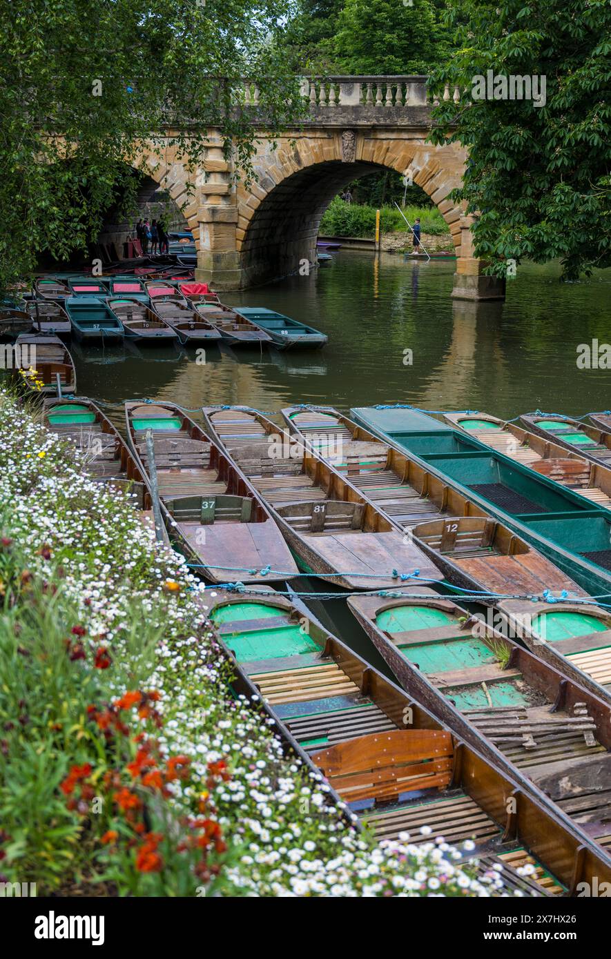 Magdalen Bridge, sur la rivière Cherwell, Flowers and Punts, Oxford Botanical Gardens, Oxfordshire, Angleterre, UK, GB. Banque D'Images