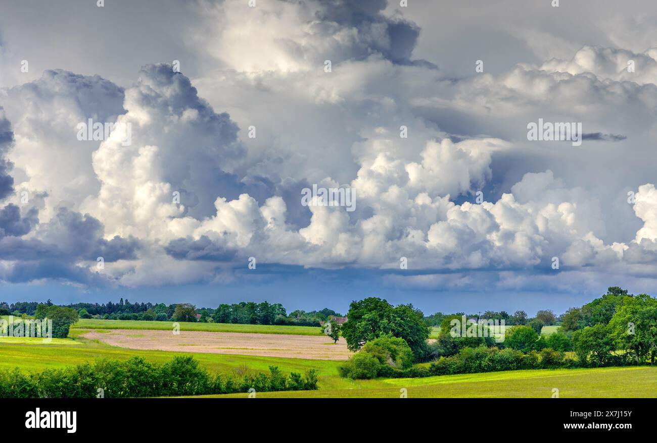 Cumulus et cumulonimbus avertissant de l'approche de la tempête - sud-Touraine, centre de la France. Banque D'Images