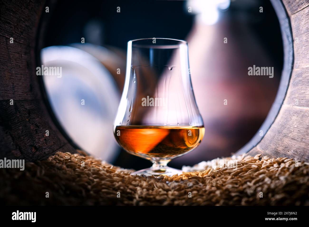 Des gouttelettes de whisky single malt vieilli coulent dans un verre debout dans un vieux fût de chêne avec des grains d'orge. Concept traditionnel de distillerie d'alcool Banque D'Images
