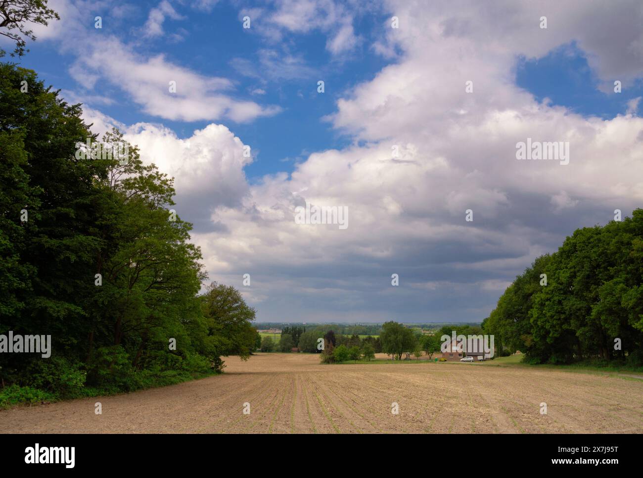 Paysage près de Hoch-Elten en Allemagne Banque D'Images