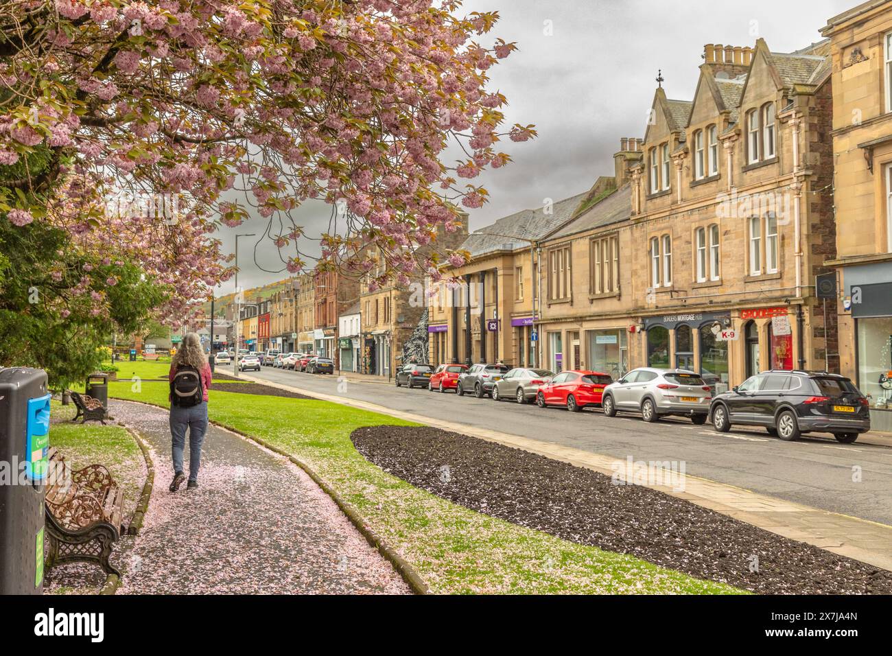 Une femme marche le long d'une rue parsemée de fleurs dans le centre de Galashiels, une ville dans la région de Borders en Écosse. Banque D'Images