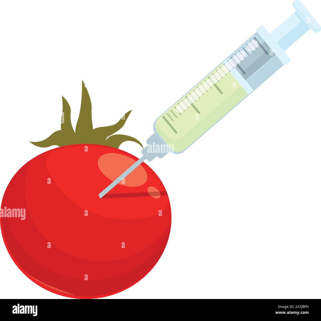 Le graphique vectoriel représente une seringue injectant du liquide dans une tomate rouge vif, symbolisant un ogm Illustration de Vecteur