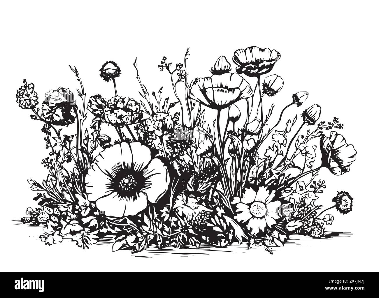 Bordure de champ de fleurs sauvages dessin à la main dans l'illustration de style Doodle Illustration de Vecteur