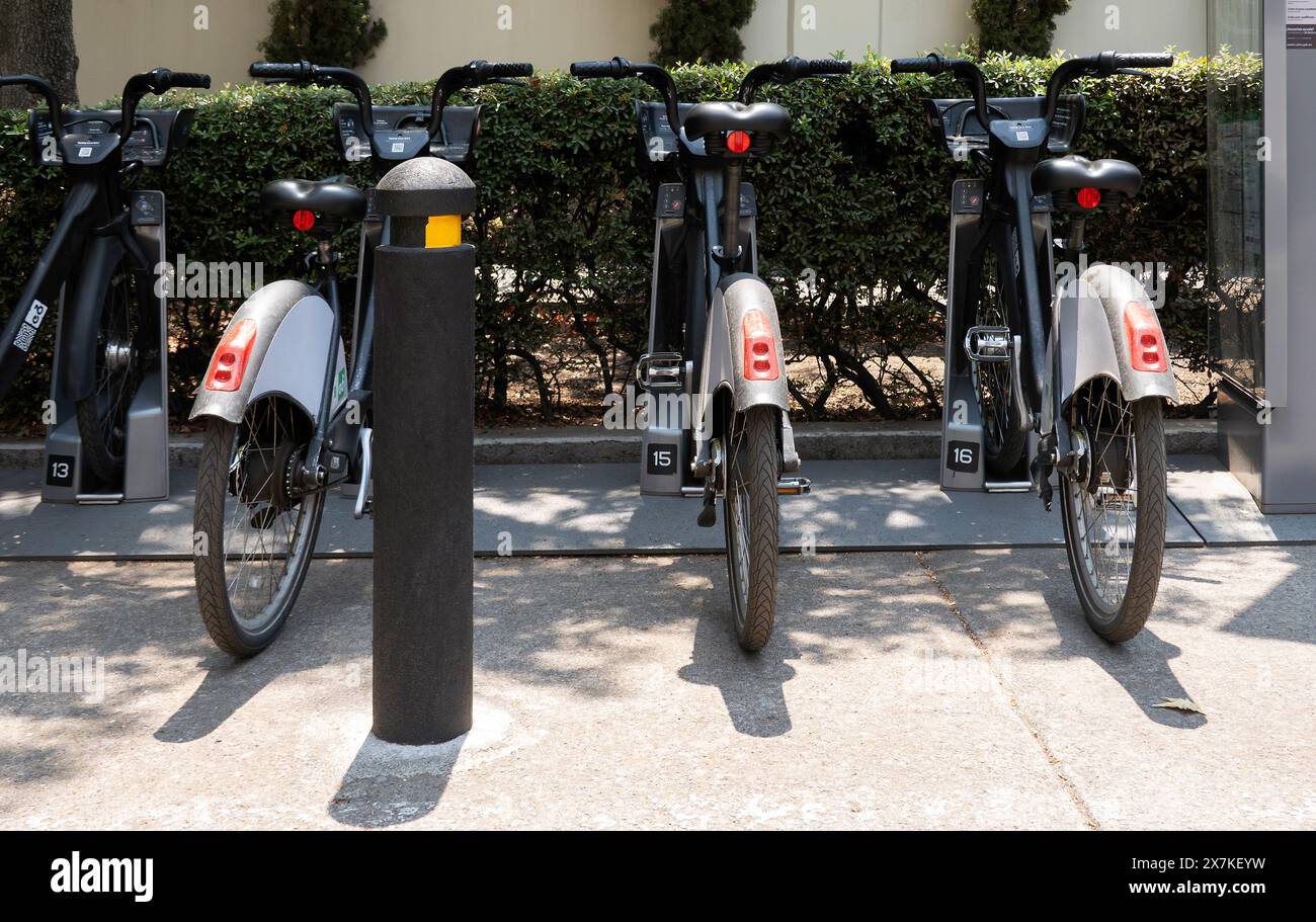 rangée de vélos partagés sur un support Banque D'Images