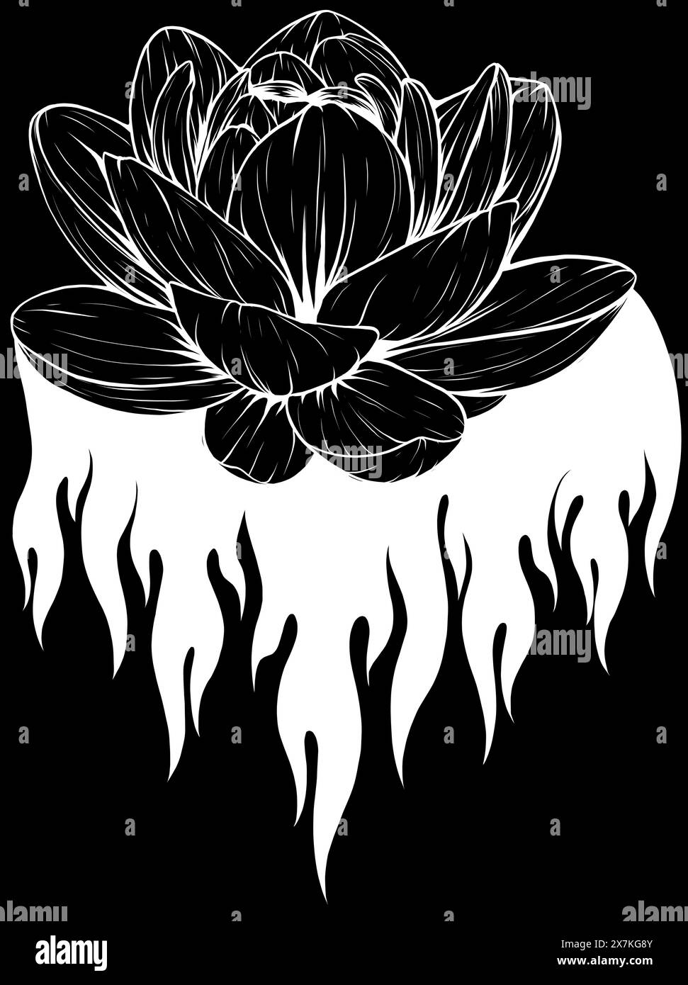 fleur de lotus en ligne blanche sur fond noir Illustration de Vecteur