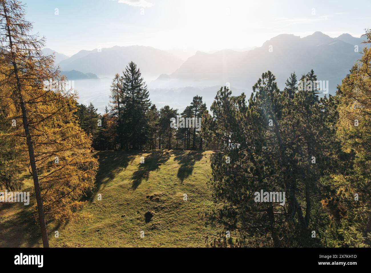 Une vue depuis une colline herbeuse avec des arbres au premier plan, regardant vers une vallée remplie de brouillard et de montagnes lointaines et brumeuses. Banque D'Images