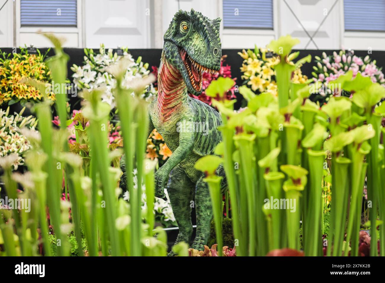 Londres, Royaume-Uni. 20 mai 2024. Les dinosaures errent au stand des plantes carnivores du Hampshire. RHS Chelsea Flower Show 2024 ouvre avec sa journée de presse, dévoilant de nouveaux designs de jardin, des présentations florales et des produits horticoles du 21 au 25 mai. Crédit : Imageplotter/Alamy Live News Banque D'Images