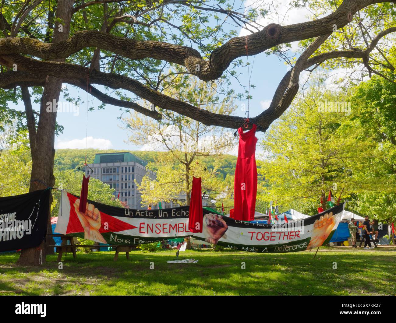 Des étudiants pro-palestiniens ont installé un campement sur le terrain du campus universitaire McGill à Montréal, Québec, Canada Banque D'Images