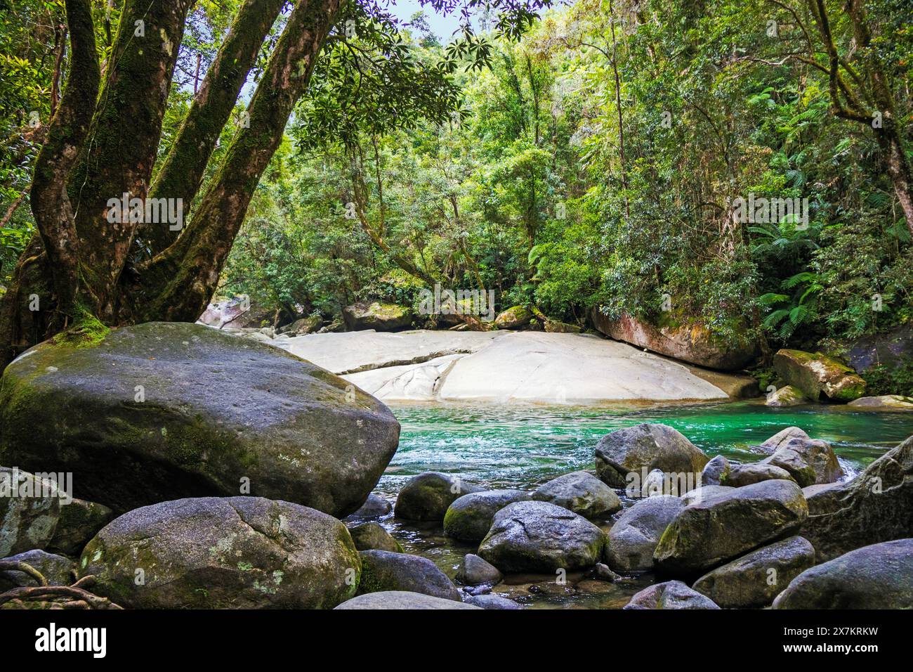 Belle piscine au fond de la cascade à plusieurs niveaux, Josephine Falls, une «visite incontournable» près de la base du mont Bartle Frere dans la FNQ Banque D'Images