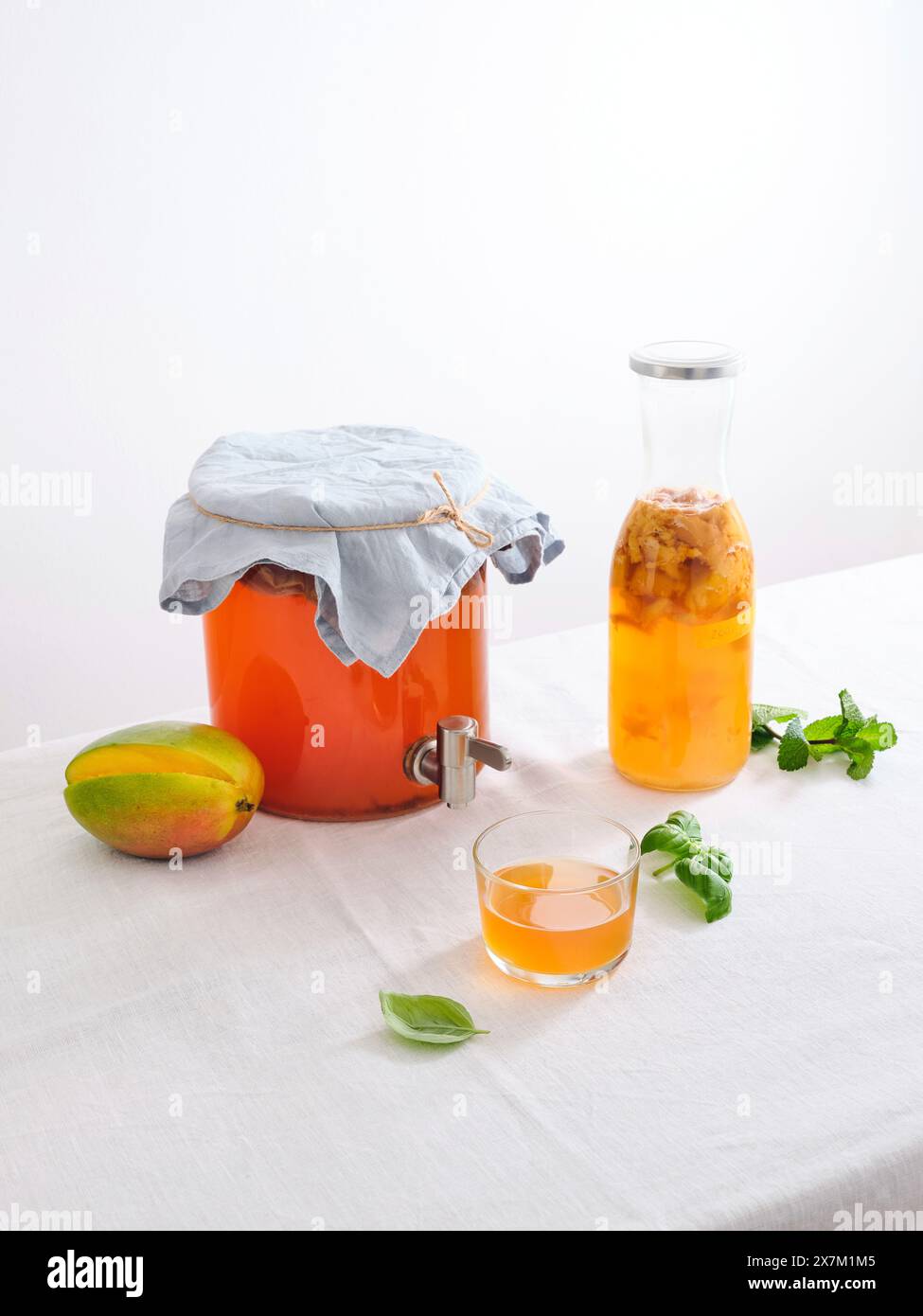 Grand pot en verre avec scoby de kombucha et une bouteille de boisson fermentée maison de kombucha sur fond blanc Banque D'Images