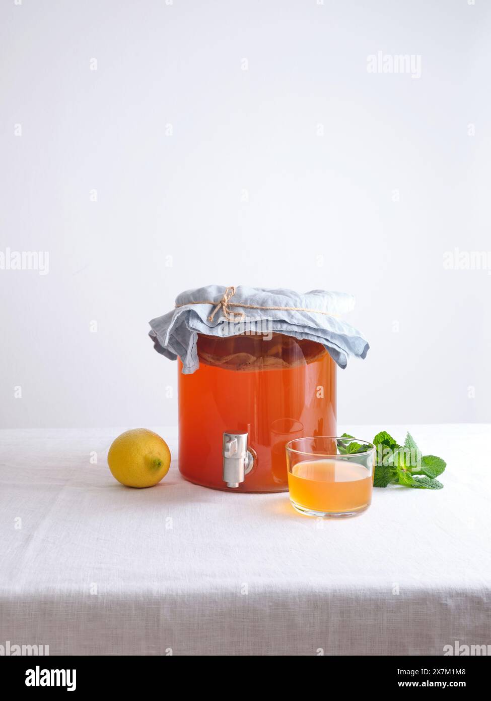 Grand pot en verre avec kombucha de thé fermenté sur fond blanc. Première fermentation de boisson maison bio Banque D'Images